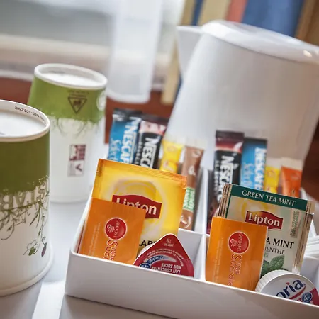 호텔 Bourran 로데즈